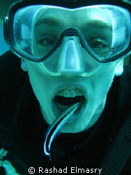 The Dentist (Cleaner wrasse) playing with a diver. by Rashad Elmasry 